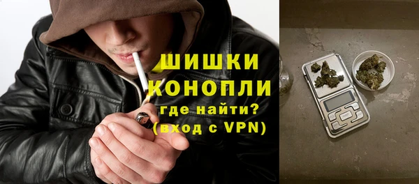 дживик Костерёво