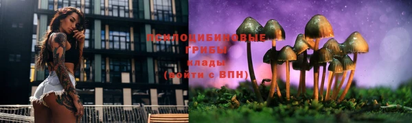 дживик Костерёво