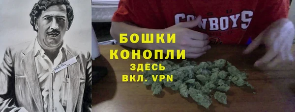 дживик Костерёво