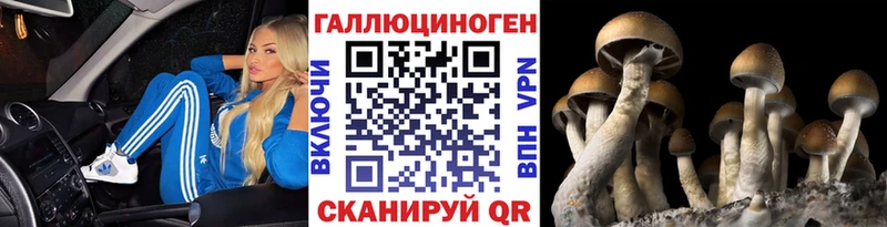 Галлюциногенные грибы мицелий наркотики Полярные Зори
